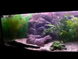 3d Aquarium Background With Sandfall 1 Aquarium Backgrounds Aquarium Diy Aquarium