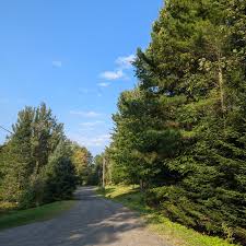 EXHIBIT] A Brome street named after a family of builders... here's the  story of Eldridge Street! 👀 According to our archives, this street was  probably named after the Eldridges, who settled in