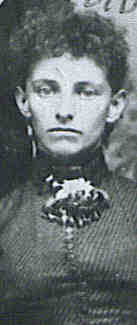 Descendants of William VIDLER