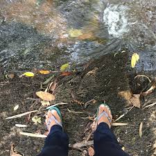Banyak sungai2, air terjun, empangan, tasik dan pantai (laut) yang menarik untuk dilawati di selangor. Air Terjun Sungai Tua Ulu Yam