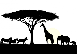 Check spelling or type a new query. 2 604 Acacia Tree Vector Images Free Royalty Free Acacia Tree Vectors Depositphotos
