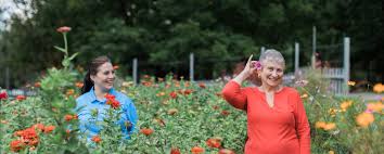 Places east peoria, illinois event plannerwedding planning service flowers and friends florist. In Home Senior Care In Peoria Il Comfort Keepers