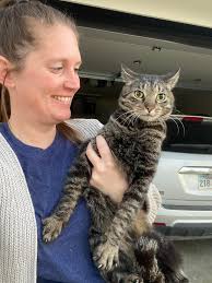 I am looking for a live trap, does anyone have one?Please message me.