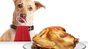 We did not find results for: Can Dogs Eat Turkey Is Turkey Safe For Dogs Dogtime