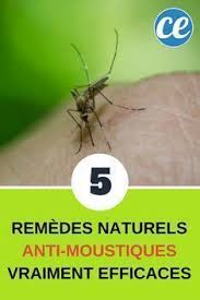 5 Remedes Naturels Anti Moustiques Vraiment Efficaces Moustique Remede Contre Les Moustiques Repulsif Naturel Contre Les Moustiques