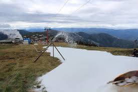 Winds north to northwesterly 30 to 35 km/h. Skiing Mt Buller In March Mountainwatch