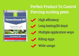 Acetamiprid, imidacloprid, nitenpyram, thiamethoxam and thiacloprid are representatives of the neonicotinoid insecticides (figure 1). Thiamethoxam 25 Wg Thinkagro Co Ltd