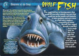 Wolf Fish Weird N Wild Creatures Wiki Fandom In 2020 Bizarre Animals Dangerous Animals Animals Wild