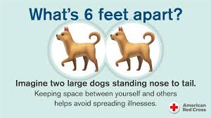 [Image: images?q=tbn%3AANd9GcTB77B0w8RNu_y-7TSQa...t&usqp=CAU]