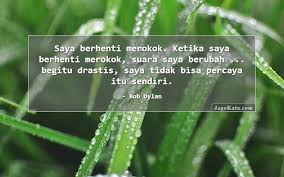 Bukan sekadar yang kamu rasakan. 30 Kata Kata Merokok Jagokata