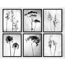 Black And White Botanical Prints Set Of 6 Minimalist Botanical Photography Prints In Black And Etsy Photography Print Floral Wall Art Prints