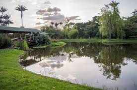 Biological Organization From Smallest To Largest That The Students Can Expect To Find At The Pond Pin On Works