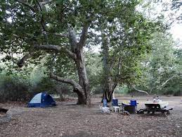 From beach camping in the summer to winter camping in the desert, there's a southern california campground to visit every month of the year. Site 30 Under Sycamore Trees Bild Von Sycamore Canyon Campground Malibu Tripadvisor
