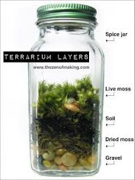 Incredible Diy Terrarium Ideas Mini Terrarium Terrarium Terrarium Diy