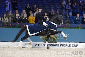 During the upcoming edition of jumping amsterdam, which takes place from 23 to 26 january in rai amsterdam, edward gal will compete with glockâ s total us. Edward Gal Over Total Us De Mogelijkheden Zijn Onbegrensd Horses Nl