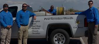 The business is located in phoenix, arizona, united states. Bye Bye Bugs Pest Control Weeds