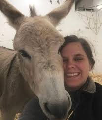 Experienced Veterinarians