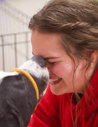 The story of how a chicken helped start dog rescue organization