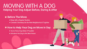 We did not find results for: Moving With A Dog Helping Your Dog Adjust Before During After
