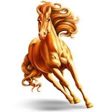 7 Best Howrse Ga Coats Images Horse Drawings Horse Art
