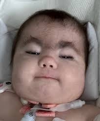 Rachel Williamson Obituary