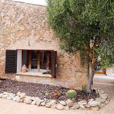 Diese fahrt biete ich exklusiv für dich und deine freunde an. Suelovesnyc Airbnb Auf Mallorca Unsere Finca In Santa Eugenia