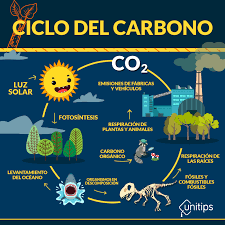 ¿cuál es el componente geológico del ciclo del carbono? Ihmc Public Cmaps 2