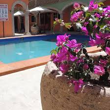 Listado y mapa de todos los hoteles y alojamientos en la localidad de jalpa (municipio de jalpa, zacatecas). Cactus Inn Los Cabos Prices Hotel Reviews San Jose Del Cabo Tripadvisor