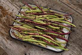 We did not find results for: How To Freeze Purple Hull Peas Tasty Year Round