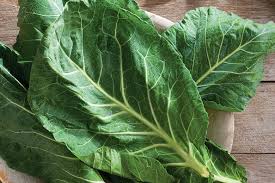Store it at a cool, dry place. Collard Greens Get To Know Kale S Beloved Southern Relative Food Nutrition Magazine January February 2019