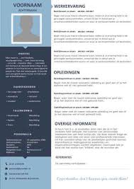 Steward Cv Template S Gratis Motivatiebrief