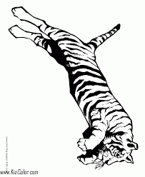 They also enjoy sketching and painting these animals. Tiger Free Printable Coloring Pages For Girls And Boys