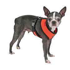 Puppia Soft Dog Harness Orange Medium