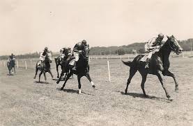 Archief van de Ned. Draf- en Rensport