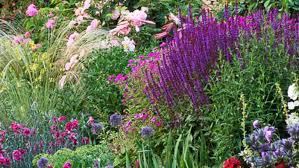 Zone 6 is one of the 13 hardiness zones of the usa. Tried And True Perennials For Your Garden This Old House