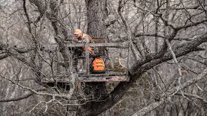 Hho4free.com presents free deer tree stand plan. 10 Best Hunting Chairs For Blinds In 2021 Advanced Hunter