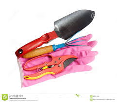 Check spelling or type a new query. Pin On Gardening Idea