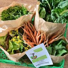 Ce Week End Je Vais Cuisiner Ce Joli Panier De Legumes Locaux A Base De Blettes Choumizuna Roquette Carottes Et In 2020 Food Takeout Container Paper Shopping Bag