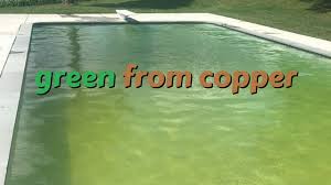 The cdc recommends that dental unit water used in nonsurgical procedures measure less than or equal to 500 colony forming units of heterotrophic bacteria per milliliter (≤500 cfu/ml) of water, the standard set for drinking water by the environmental protection agency (epa). Pool Turned Green From Copper And A Chlorine Shock