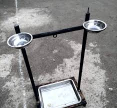 Apabila dipelihara sejak bayi, kakak tua memiliki ikatan yang kuat dengan kakak tua peliharaan rentan terhadap obesitas, sehingga kamu harus memperhatikan pola makan mereka. Cara Merawat Burung Kakatua Jambul Kuning Dan Putih Dengan Benar Hobinatang