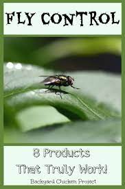 8 Fly Control Products That Really Work To Get Rid Of Flies Chickens Backyard Get Rid Of Flies Fly Control