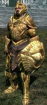 Elven Armor Base Armor 58 Weight 7 Class Light Armor Upgrade Material Refined Moonstone Perk Elven Smithi Skyrim Armor Sets Skyrim Armor Skyrim Elven Armor