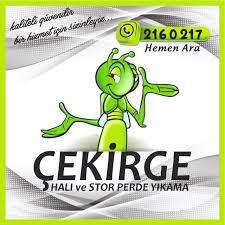 Cekirge Storperde Hali Yorgan Yikama Home Facebook