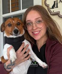 Experienced Veterinarians