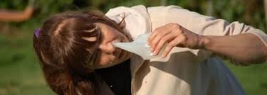 Par excellent produit pour l'hygiène du nez j'ai des polypes sinusaux et le médecin m'a recommandé d'effectuer un lavage quotidien du nez. Le Nettoyage Du Nez A L Eau Salee Jala Neti Yogamrita Blog Du Yoga