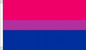 Lgbt bi pride bisexual flag of bisexuality 90x150cm. Large Bi Pride Flag 90 X 150 Cm