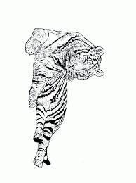 Kleurplaten tijger hieronder vind je 42 tijger kleurplaten. Kleurplaten Dieren Tijger Coloring And Drawing
