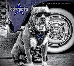 Imma Stright Out Cowboys Fan I Got It From My Daddy Dallas Cowboys Dog Dallas Cowboys Wallpaper Dallas Cowboys Tattoo