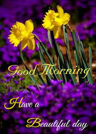 Pin On Good Morning
