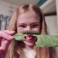 Hello my lovely fair folk! I wanted to take the time to bring some  awareness as I thought you guys might also appreciate this: cottagecore and  faerie vibes can be more than